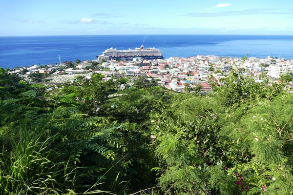 DMRSU - Roseau, Dominica - Falco 1.jpg